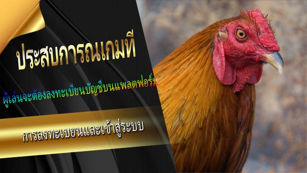 ประสบการณ์เกมที่【Royal Online Casino】