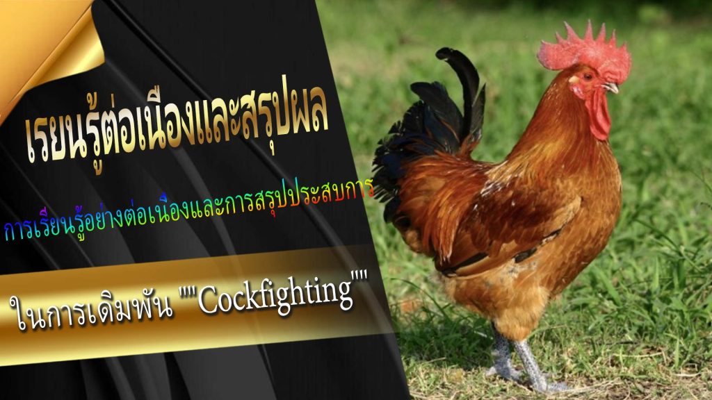 เรียนรู้ต่อเนื่องและสรุปผล