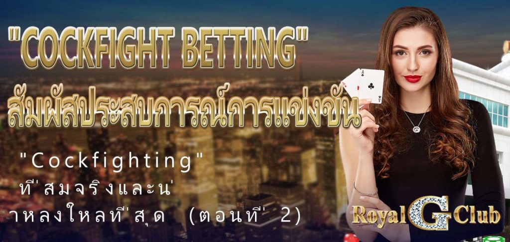 【Royal Online Casino】 “Cockfight Betting”: สัมผัสประสบการณ์การแข่งขัน “Cockfighting” ที่สมจริงและน่าหลงใหลที่สุด (ตอนที่ 2)